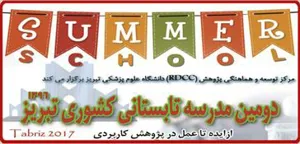 مدرسه تابستانی مرکز توسعه و هماهنگی پژوهش سال 96